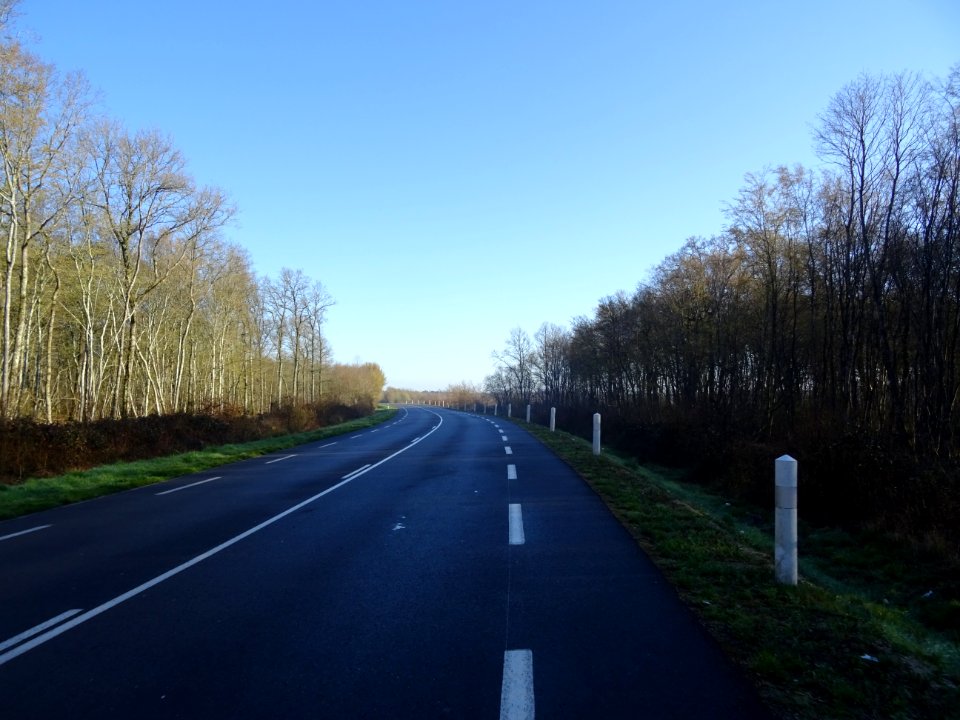 Route d'Orléans, à travers la Forêt Domaniale d'Orléans, a… 