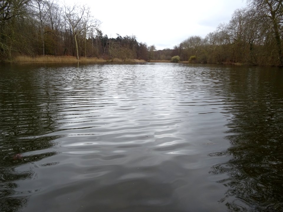 Etang du ru des Petits Monts et du ru de Saint-Nicolas, Sa… 