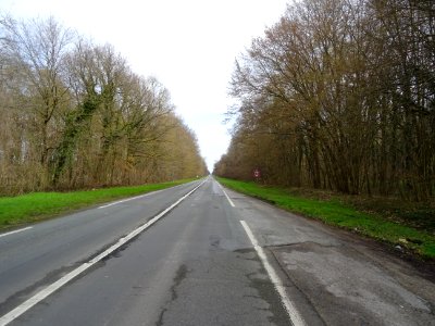 Forêt domaniale de Compiègne, route entre la Croix-St-Ouen… 