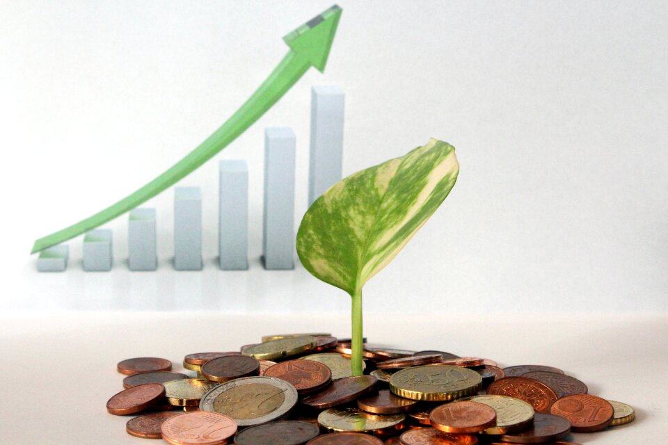 Finance success team