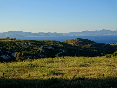 Chardons et collines, région de Psalidi, île de Kos, en fa… 