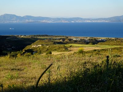 Chardons et collines, région de Psalidi, île de Kos, en fa… 