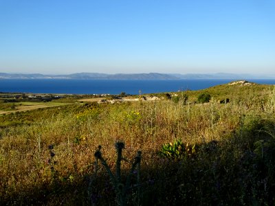 Chardons et collines, région de Psalidi, île de Kos, en fa… 