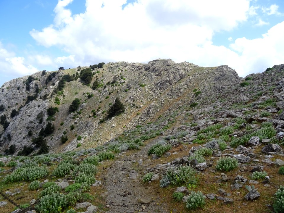 Sentier qui monte au Mont Dikeos, le passage de 100 qui re… 
