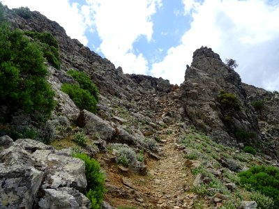 Le sentier vers le Mont Dikeos ou Dikaios 