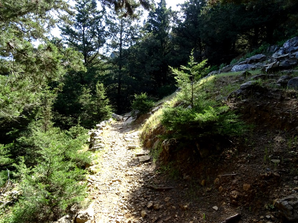 Le sentier pédestre qui monte au Mont Dikeos 