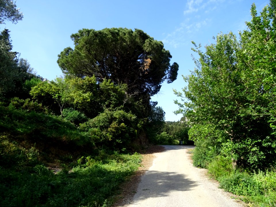 DSC04560 