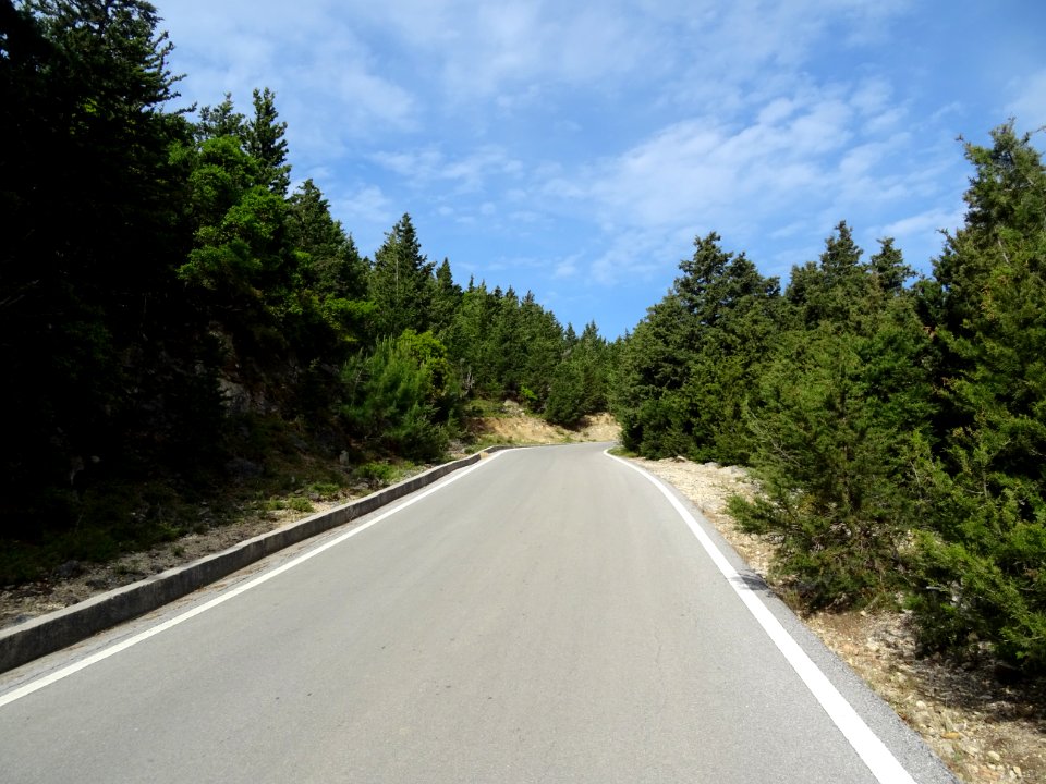 La route qui monte vers Zia traverse une immense forêt de … 
