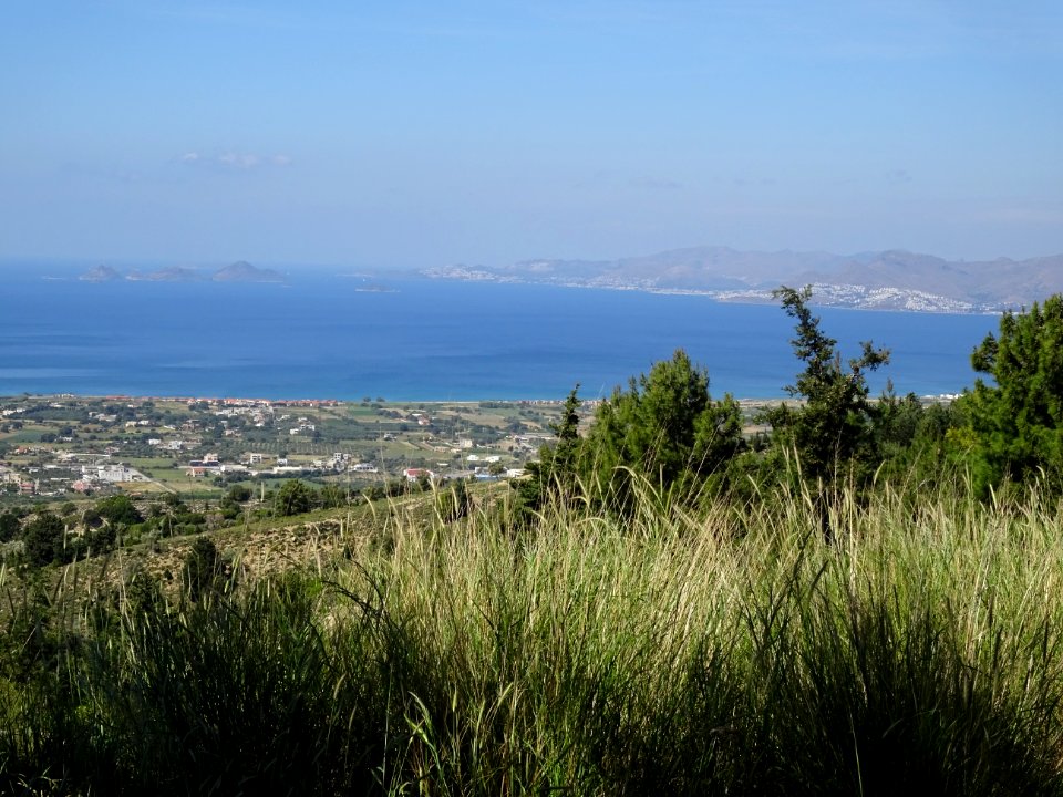 DSC03319 