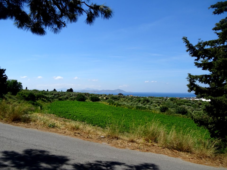 DSC03289 