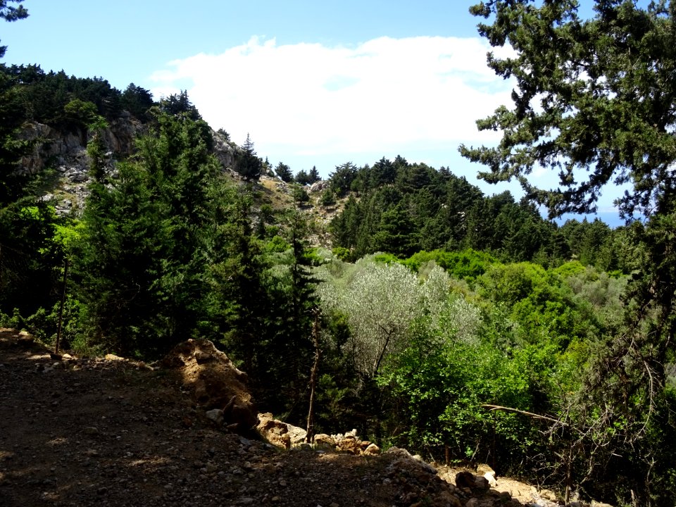 DSC03859 