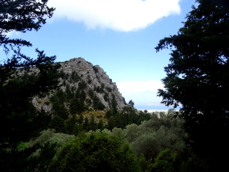 DSC03626 