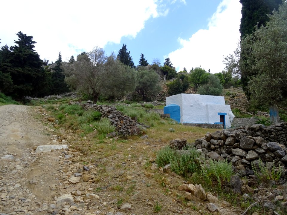 DSC03629 