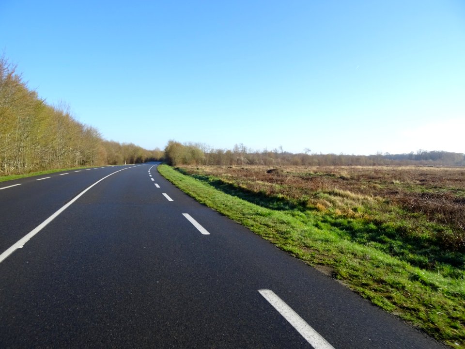 Route d'Orléans, à travers la Forêt Domaniale d'Orléans, a… 