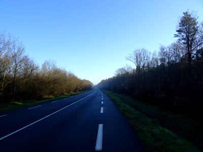 Route d'Orléans, à travers la Forêt Domaniale d'Orléans, a… 