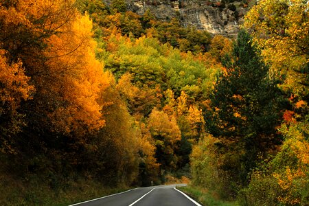Nature road colors