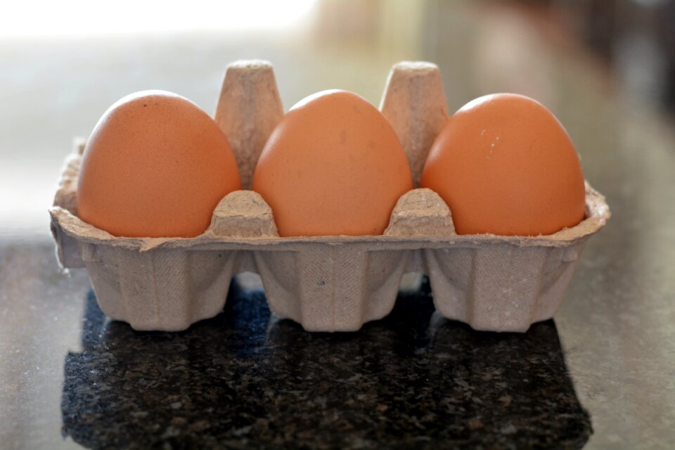 Healthy brown egg brown eggs
