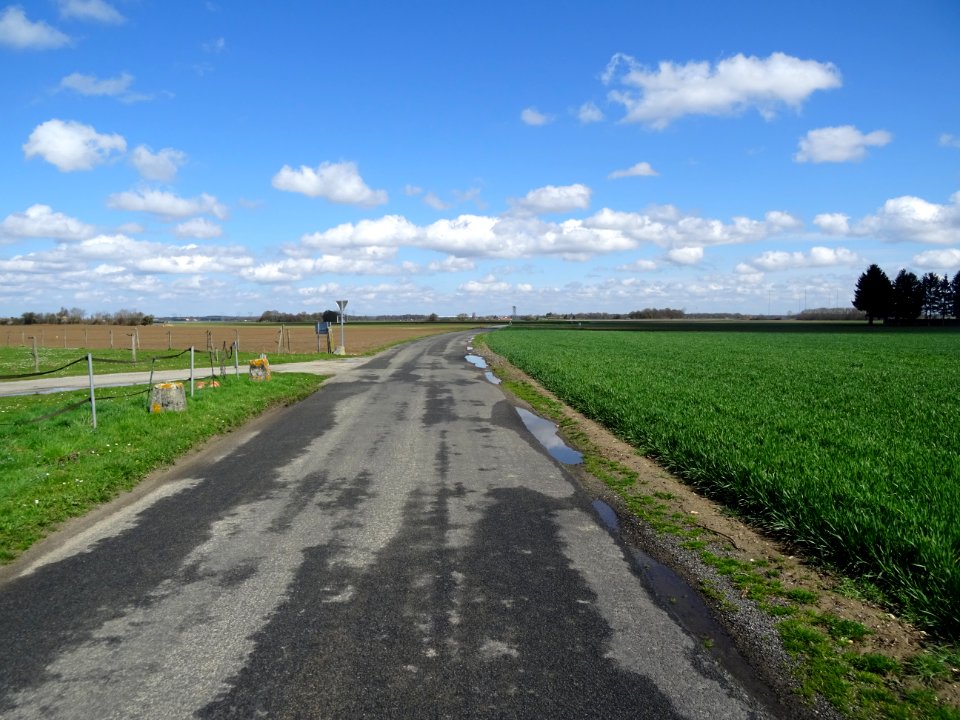 Route en allant de Nainville-les-Roches vers Auxonnettes, … 