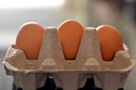 Eggs in container food healthy
