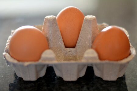 Food brown egg brown eggs
