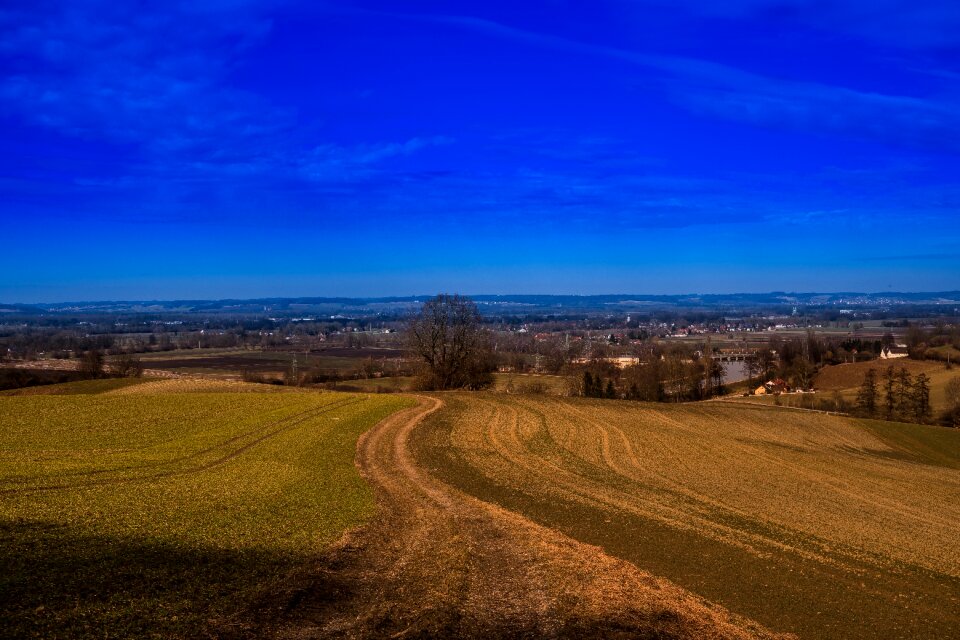 Nature just spring