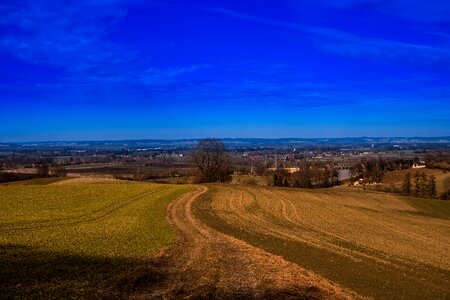 Nature just spring