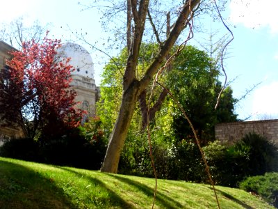 DSC01971 