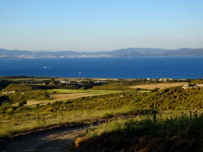 Chardons et collines, région de Psalidi, île de Kos, en fa… 