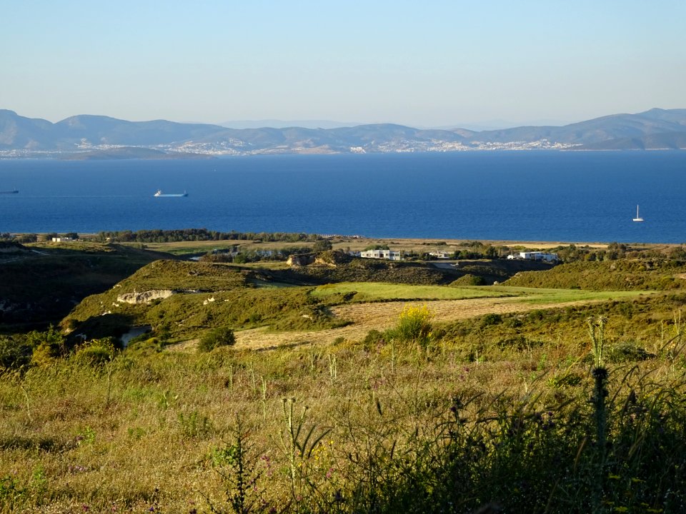 Chardons et collines, région de Psalidi, île de Kos, en fa… 
