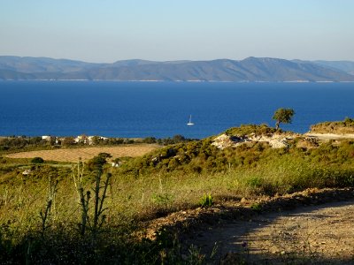 Chardons et collines, région de Psalidi, île de Kos, en fa… 