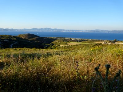 Chardons et collines, région de Psalidi, île de Kos, en fa… 