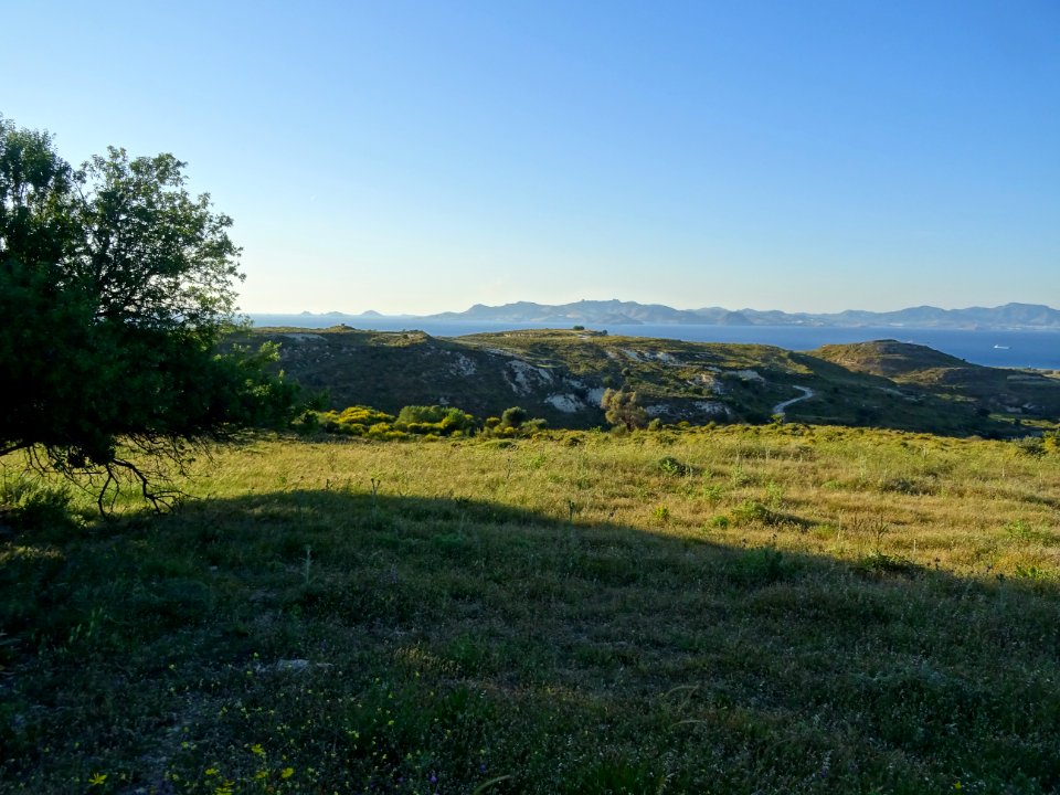 Chardons et collines, région de Psalidi, île de Kos, en fa… 