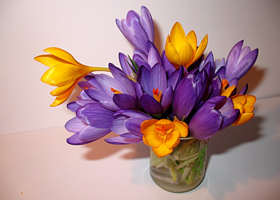 Purple yellow mood