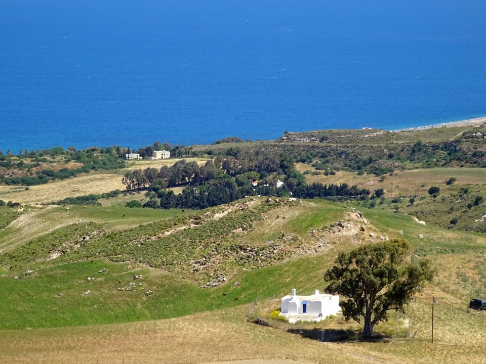 Une maison grecque, un eucalyptus et le bleu de la mer ...… 