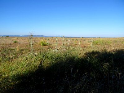 DSC04191 