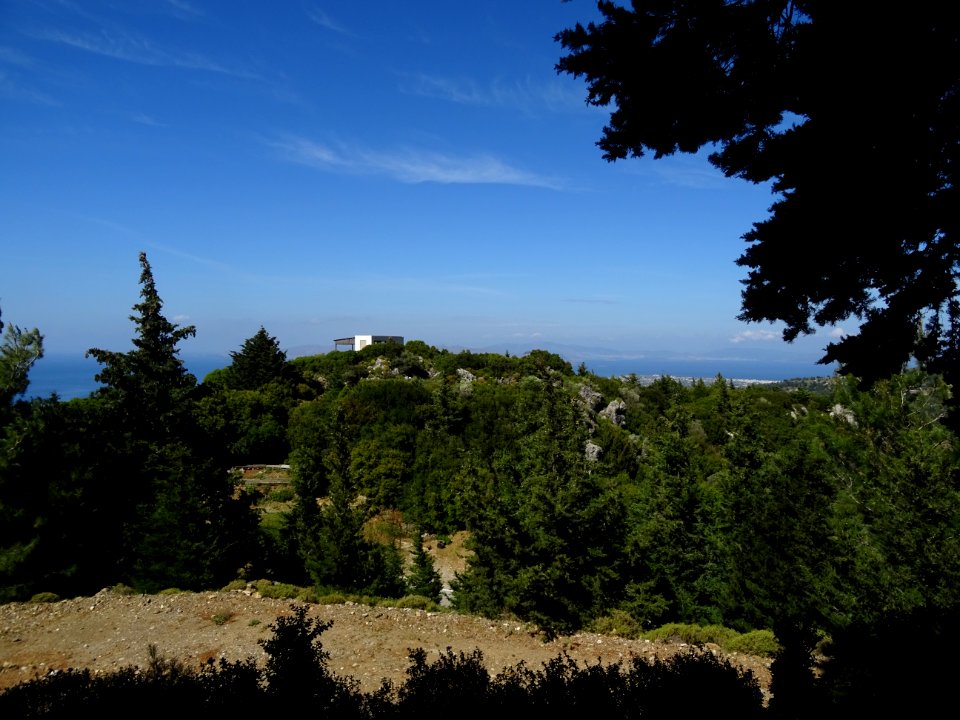 DSC03380 