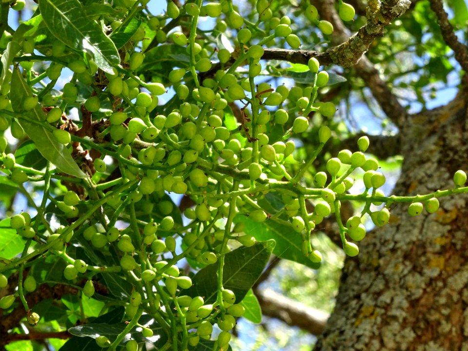 DSC03367 