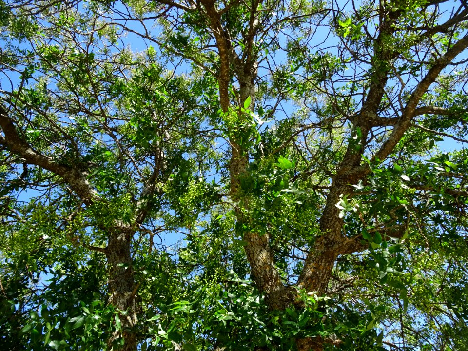 DSC03365 