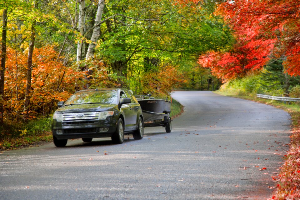 Fall color foliage road