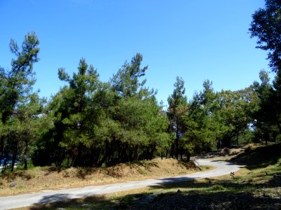 La route qui monte au mont Sympetro 