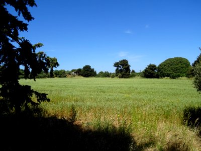 DSC04252 