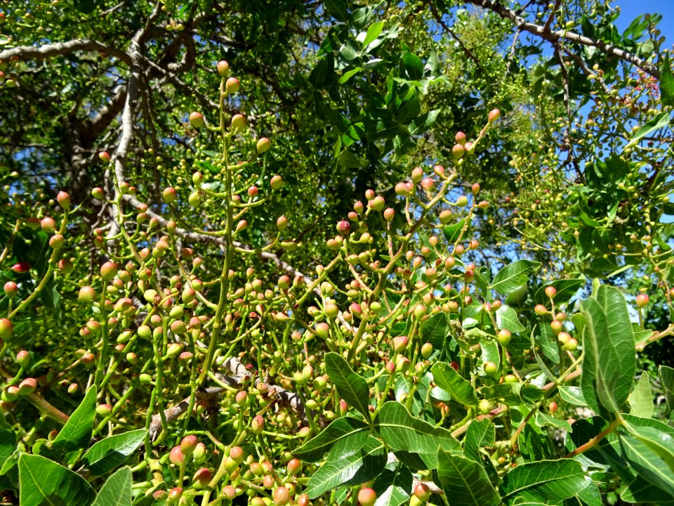 DSC03360 