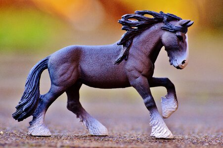 Toys animal child