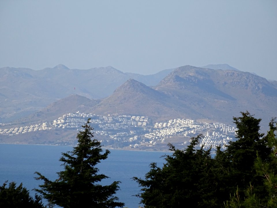 DSC03447 