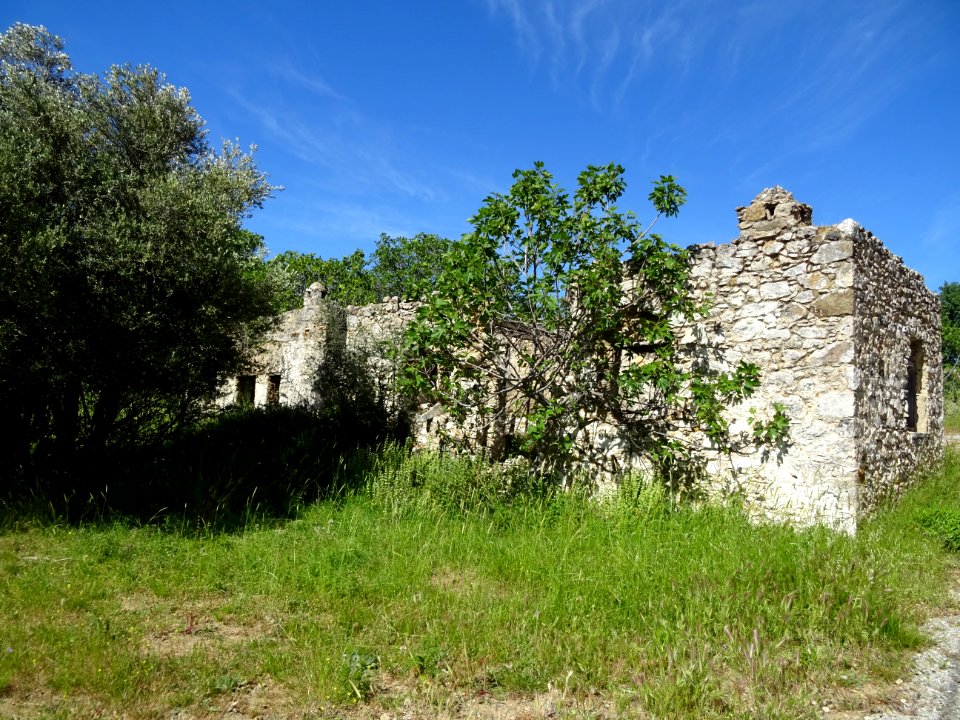 DSC03404 