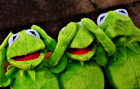 Funny kermit frog photo