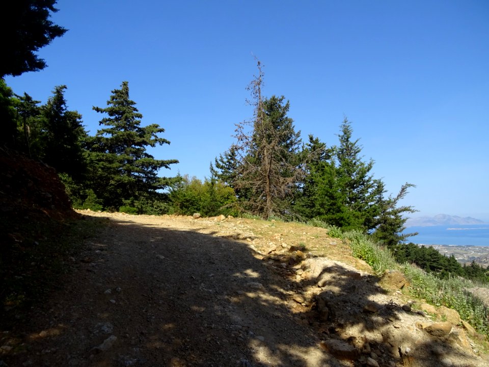 La piste forestière et la vue vers la mer 