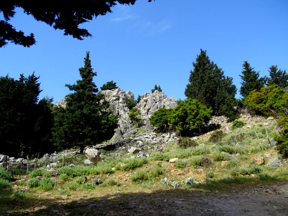 DSC04581 