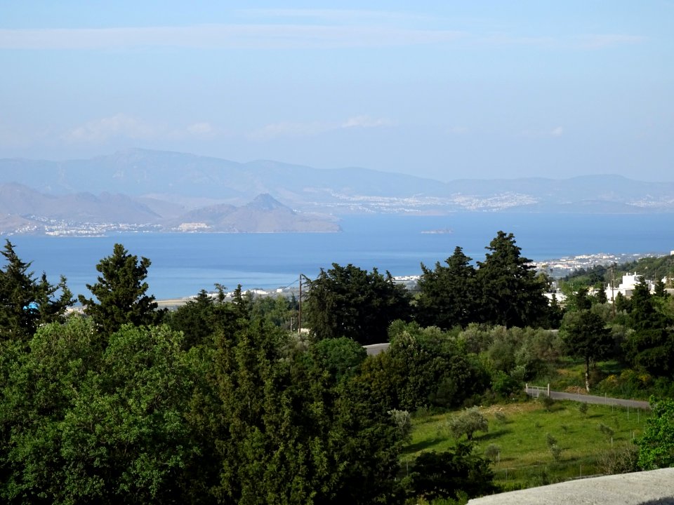 DSC03440 