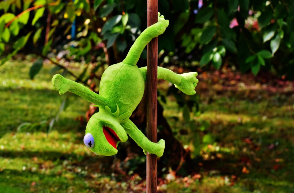 Soft toy animal toys